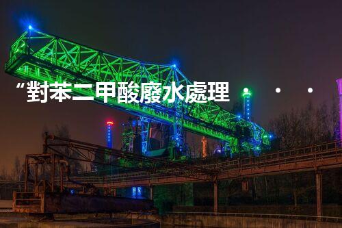 “對苯二甲酸廢水處理，綠色創(chuàng)新引領環(huán)保新篇章”
